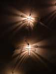 Dragonfly Lights