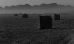 Hay Bales, taken at night