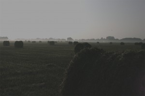 Another long-exposure night shot of hay bales