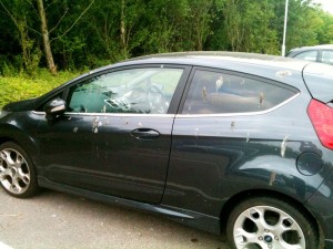 Car, covered in bird crap