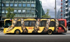 Zoo Bus