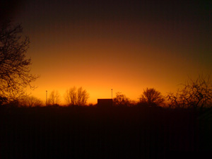 Sunset over the garden